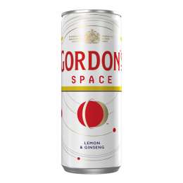 Εικόνα της Gordon's Space Can 250ml