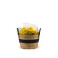 Picture of Package No 009 | Wicker Basket