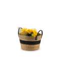 Picture of Package No 009 | Wicker Basket